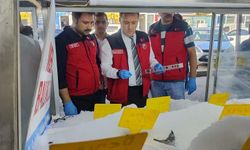 Kahramanmaraş’ta Su Ürünleri Denetimleri Tüm Hızıyla Devam Ediyor