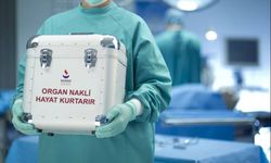 Karaciğer Nakli Bekleyen Elbistanlı Öğretmen İçin Umut Aranıyor