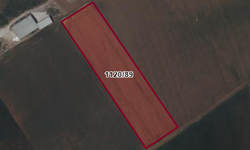 Afşin'de 17.868 M² Tarla Mahkemeden Satılık