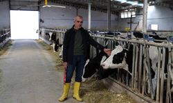 20 İnekle Başladı, Günlük 1 Ton Süt Üretir Hale Geldi