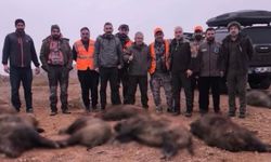 Afşin’de Yaban Domuzlarına Karşı Sürek Avı Yapıldı