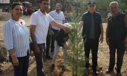 Adana, Mersin ve Hatay'ın ilçelerinde Milli Ağaçlandırma Günü'nde fidan dikildi