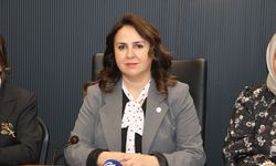 Adana ve Hatay'da AK Parti'den kadına yönelik şiddetle mücadele günü açıklaması