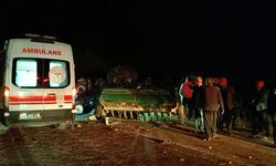 Adana'da 3 aracın karıştığı kazada 2 kişi yaralandı