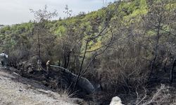 Adana'da çıkan orman yangını söndürüldü