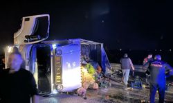 Adana'da devrilen kamyonetteki 1 kişi yaralandı