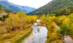 Adana'daki Belemedik Tabiat Parkı ve çevresi sonbaharın renklerine büründü