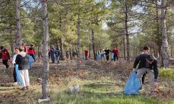 Ankara'da sınıfı bir günlüğüne ormana taşıdılar