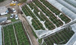 Antalya'da kuvvetli sağanak ve rüzgar hayatı olumsuz etkiliyor