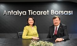 Antalya'da zeytin ve zeytinyağı üretimi değerlendirildi