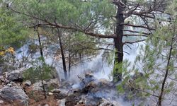 Bozyazı ilçesinde iki ayrı noktada çıkan orman yangını söndürüldü