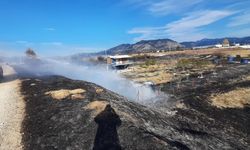 Bucak'ta arazide çıkan ot yangını söndürüldü