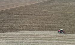 Trakya'da kuraklık daha az su isteyen ürünleri gündeme getiriyor