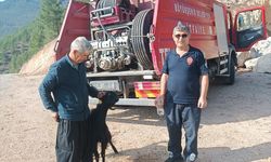 Feke ilçesinde kayalıklarda mahsur kalan keçiyi itfaiye ekibi kurtardı