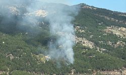 Muğla'da ormanlık alanda çıkan yangın kontrol altına alındı