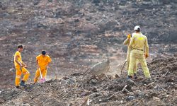 Hatay ve Kilis'te bir günde 44 bin 50 fidan toprakla buluşturulacak