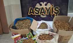 Hatay'da 250 kilogram gümrük kaçağı tütün ele geçirildi