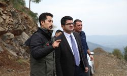 Hatay'da çıkan orman yangını kontrol altına alındı