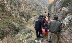 Hatay'da dağda mahsur kalan kişi kurtarıldı