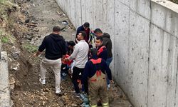 Hatay'da hafif ticari aracın çarptığı kadın öldü