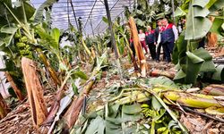 İl Tarım ve Orman Müdürü Karadağ, Bozyazı'da hortumdan zarar gören seraları inceledi