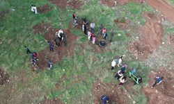 Kumluca'da 300 fidan toprakla buluşturuldu