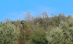 Kumluca'da makilik alanda çıkan yangın söndürüldü