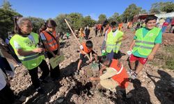 Kumluca'da 'Milli Ağaçlandırma Günü' dolayısıyla fidan dikimi yapıldı