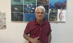 Mavi tura çıkanlar Meis Adası'nda yavru Akdeniz foku ve ailesini görüntüledi