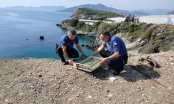 Mersin'de kafes içerisinde ele geçirilen 80 saka kuşu doğaya salındı