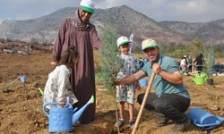 Mersin'de orman yangınında zarar gören alana 12 bin fidan dikildi