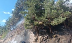 Mersin'de seradan ormanlık alana sıçrayan yangın söndürüldü