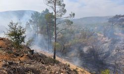 Mersin'de temizlik için ateş yakılan bahçede çıkan yangında 1 kişi yaşamını yitirdi