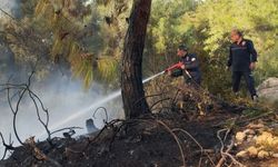 Sarıçam ilçesinde çıkan orman yangını söndürüldü