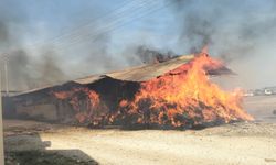 Sarıçam ilçesinde samanlıkta çıkan yangın söndürüldü