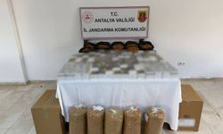 Serik'te kaçak türün ve makaron operasyonu