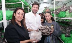 Tarsus ilçesinde kursiyerlerin yetiştirdiği istiridye mantarları hasat edildi