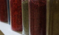 Türkiye 121 ülkeye tohum ihraç ediyor