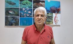 Yerli balıkları korumak için 'yabancı türler ekonomiye kazandırılsın' önerisi