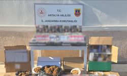 480 bin doldurulmuş makaron ele geçirildi