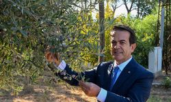 Antalya’nın sıvı altını yarışacak