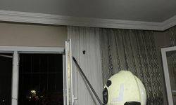 ARsuz’da eve giren yarasayı itfaiye yakaladı