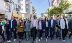 Başkan Vekili Çiçek: "Zeytin bu toprakların bereketinin ve sağlığının simgesidir"