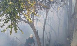 Bozyazı’da çıkan yangın seralara zarar verdi