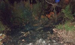 Bucak’ta arazi yangını