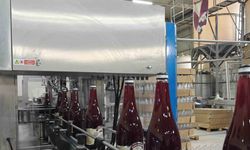 Büyük Usta & Serfressh’in cam şişe şalgamlarına yoğun talep