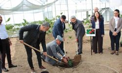 Çocuklara hem teorik hem uygulamalı eğitim