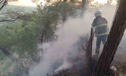 Dörtyol’da ormanlık yangını