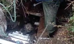 Foseptik çukuruna düşen köpeği itfaiye kurtardı