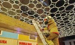 Hatay’da duvar boşluğuna sıkışan kedi itfaiye ekiplerince kurtarıldı